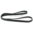 Serpentine Belt