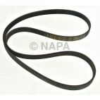 Accessory Drive Belt