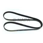 Serpentine Belt