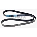 Serpentine Belt