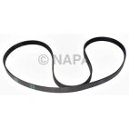 Serpentine Belt