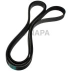 Serpentine Belt
