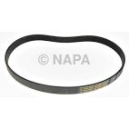 Serpentine Belt