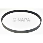 Serpentine Belt