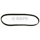Serpentine Belt