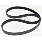 Accessory Drive Belt