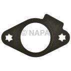Fuel Pump Plate Gasket