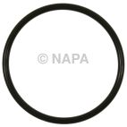 Fuel Pump O-Ring