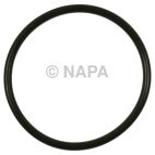 Fuel Pump O-Ring