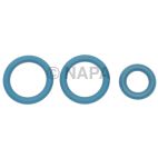 Fuel Injection Fuel Rail O-Ring Kit