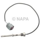 Exhaust Gas Recirculation (EGR) Valve Temperature Sensor