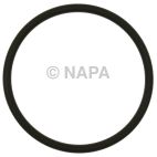 Fuel Pump O-Ring