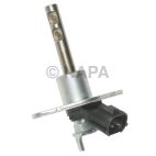 Fuel Injection Cold Start Valve