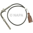 Exhaust Gas Recirculation (EGR) Valve Temperature Sensor