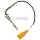 Exhaust Gas Recirculation (EGR) Valve Temperature Sensor