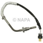Exhaust Gas Recirculation (EGR) Valve Temperature Sensor