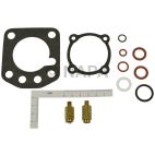 Carburetor Repair Kit