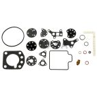 Carburetor Repair Kit