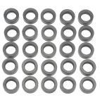 Fuel Injection Cleaning Kit O-Ring (ASNU)