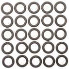 Fuel Injection Cleaning Kit O-Ring (ASNU)