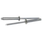 Exhaust Gas Recirculation (EGR) Valve