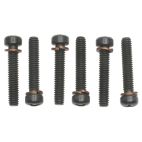 Choke Cover Retaining Screw