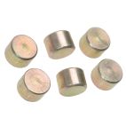 Exhaust Gas Recirculation (EGR) Valve