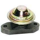Exhaust Gas Recirculation (EGR) Valve