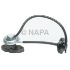 Exhaust Gas Recirculation (EGR) Valve