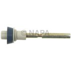 Carburetor Accelerator Pump