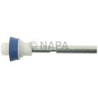 Carburetor Accelerator Pump