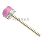 Carburetor Accelerator Pump
