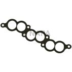 Fuel Injection Plenum Gasket