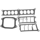 Fuel Injection Plenum Gasket