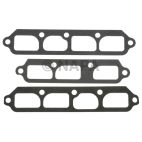 Fuel Injection Plenum Gasket