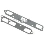 Fuel Injection Plenum Gasket