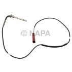 Exhaust Gas Recirculation (EGR) Valve Temperature Sensor