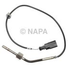 Exhaust Gas Recirculation (EGR) Valve Temperature Sensor