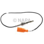 Exhaust Gas Recirculation (EGR) Valve Temperature Sensor