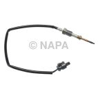 Exhaust Gas Recirculation (EGR) Valve Temperature Sensor