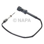Exhaust Gas Recirculation (EGR) Valve Temperature Sensor