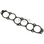 Fuel Injection Plenum Gasket