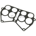 Fuel Injection Plenum Gasket