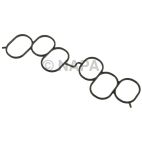 Fuel Injection Plenum Gasket