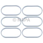 Fuel Injection Plenum Gasket