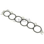 Fuel Injection Plenum Gasket
