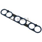 Fuel Injection Plenum Gasket