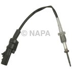 Exhaust Gas Recirculation (EGR) Valve Temperature Sensor