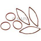 Fuel Injection Plenum Gasket