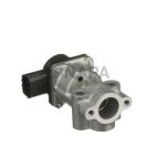 Exhaust Gas Recirculation (EGR) Valve